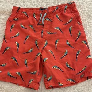 Crown and Ivy boys large (run big) swim trunks lined.